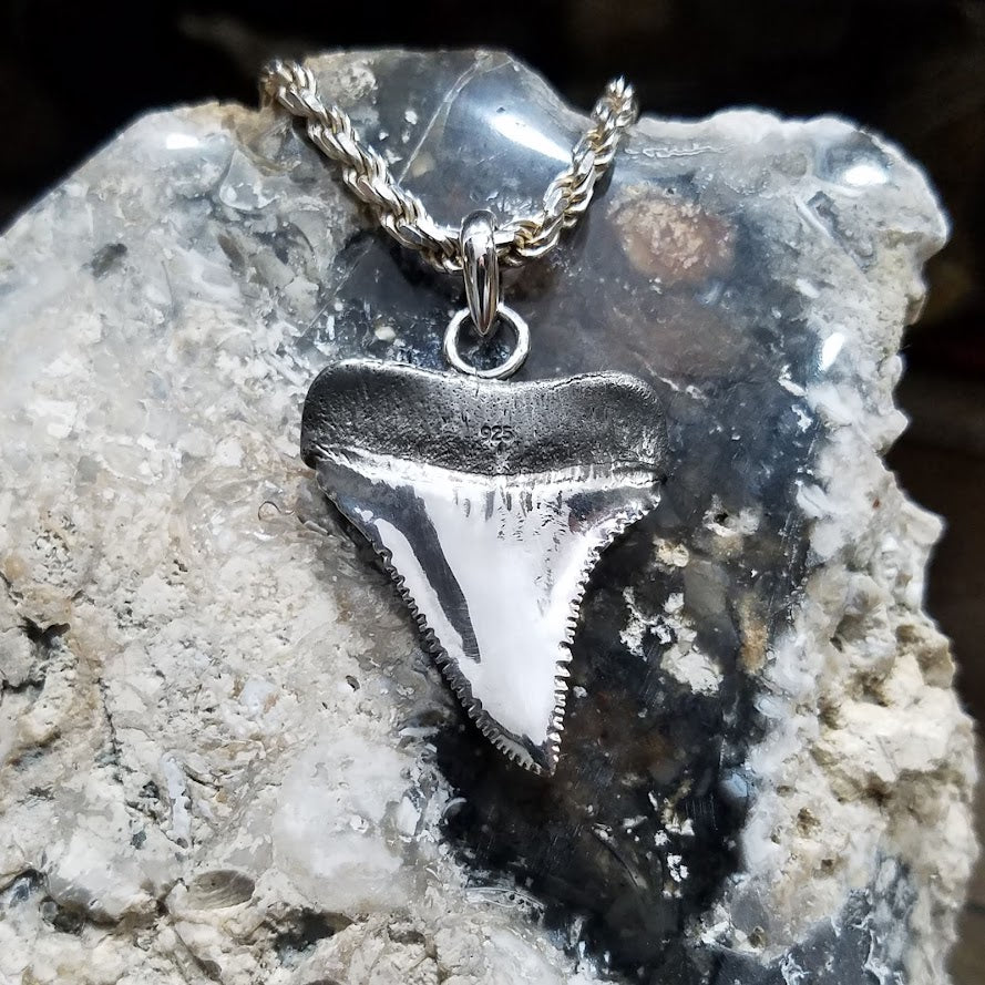 Great White Shark Tooth Pendant