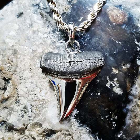 Great White Shark Tooth Pendant